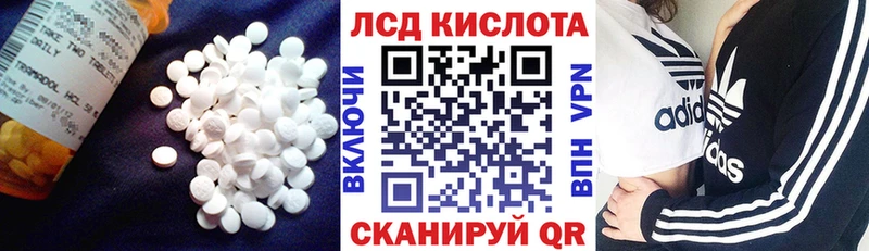 Купить закладки  Курганинск  Лсд 25 экстази ecstasy 