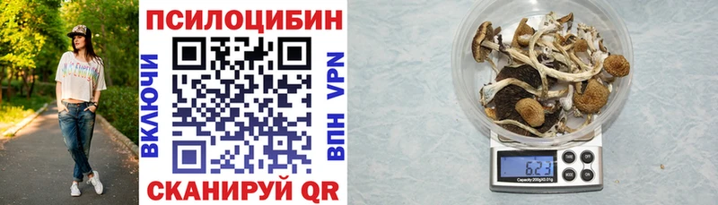 Галлюциногенные грибы Cubensis  Купить  Курганинск 