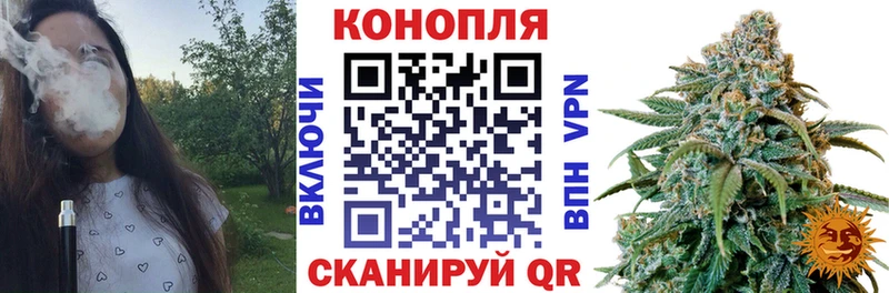 Конопля гибрид  Купить где  Курганинск 